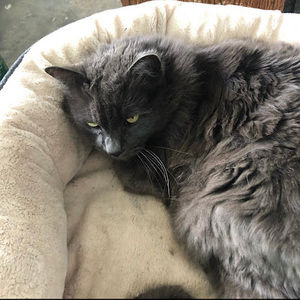 Meet your Posher, Jesse